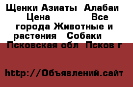 Щенки Азиаты (Алабаи) › Цена ­ 20 000 - Все города Животные и растения » Собаки   . Псковская обл.,Псков г.